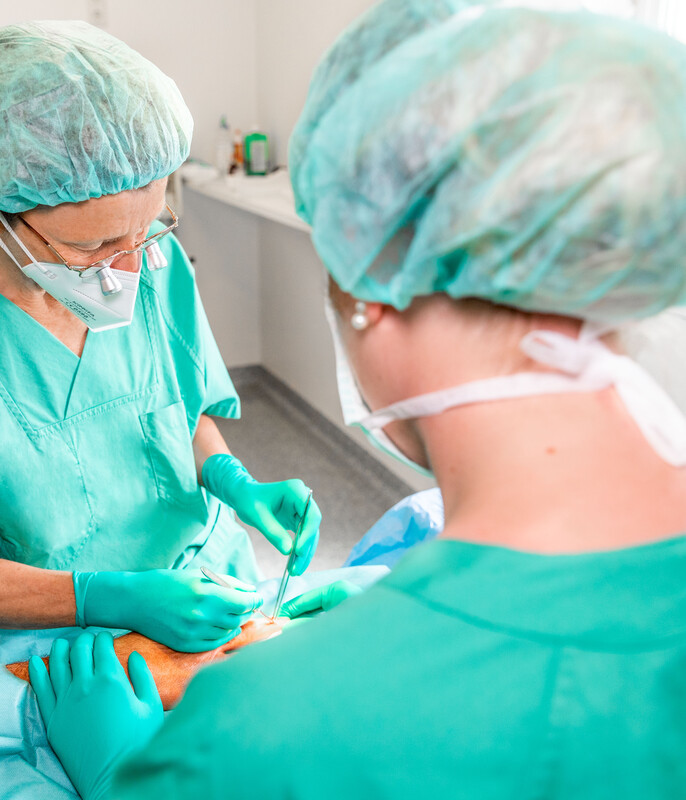 Praxen arbeiten nun gemeinsam