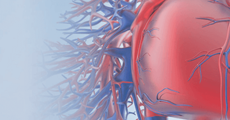Siegener Herz-Tag 2025