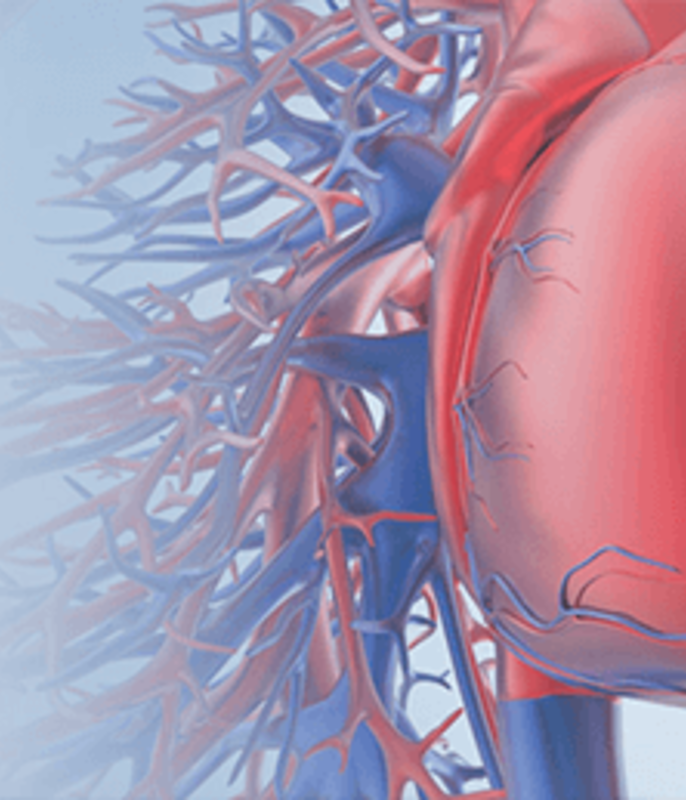 Siegener Herz-Tag 2025